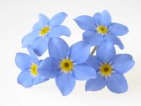 Contributo alle Scuole Secondarie delle&nbsp;Marche